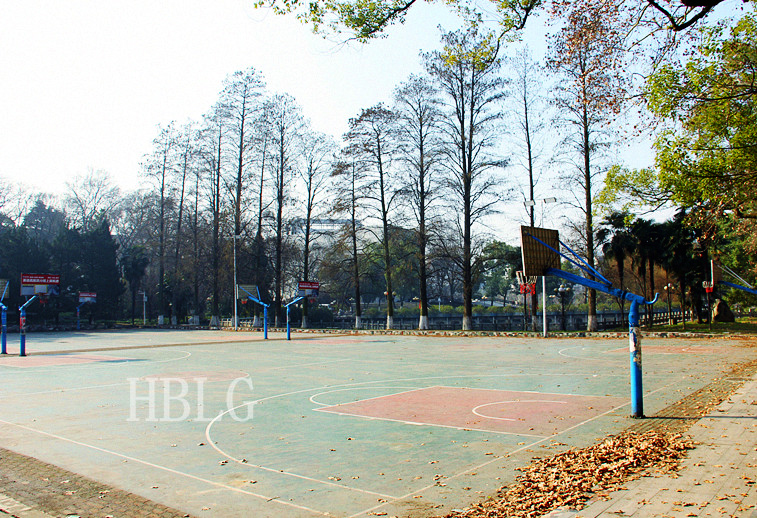武汉大学枫园篮球场维修工程2.JPG